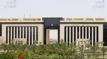 150 فرصة عمل للشباب بالجيزة برواتب تصل إلى 7500 جنيه في قطاعات متنوعة 1